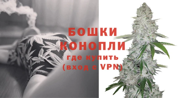 ПСИЛОЦИБИНОВЫЕ ГРИБЫ Абдулино