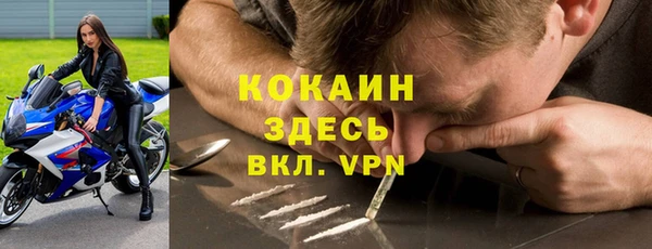 спайс Алзамай